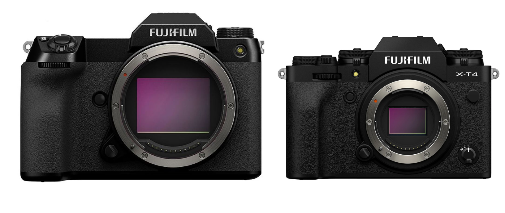 fuji gfx vs canon r5