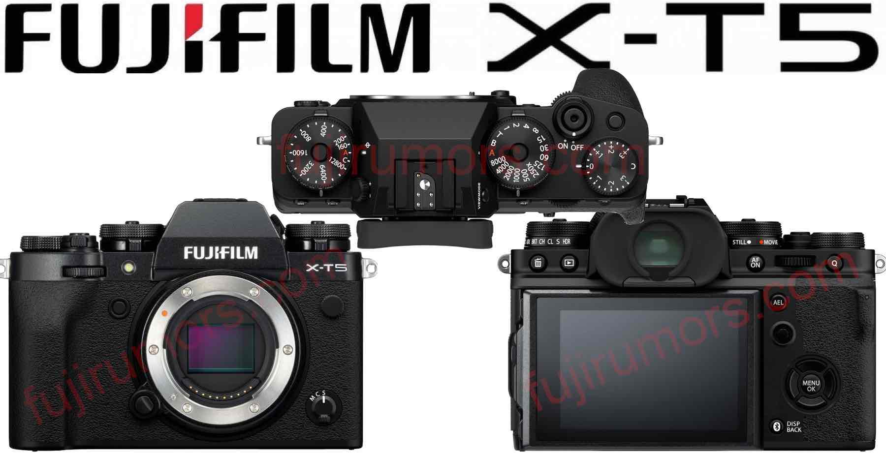 Fujifilm X-T5 review: maximum photo fun
